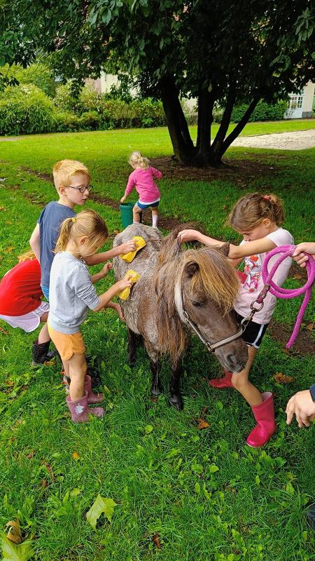 Boerderijkamp Antwerpen Paasvakantie Juvigo