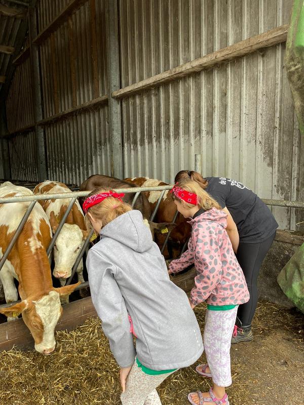 Op een boerderij