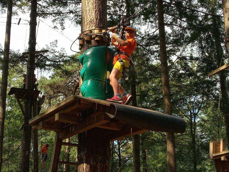 jongen bovenop platform in boom kijk naar beneden tijdens een jongerenvakantie nederland