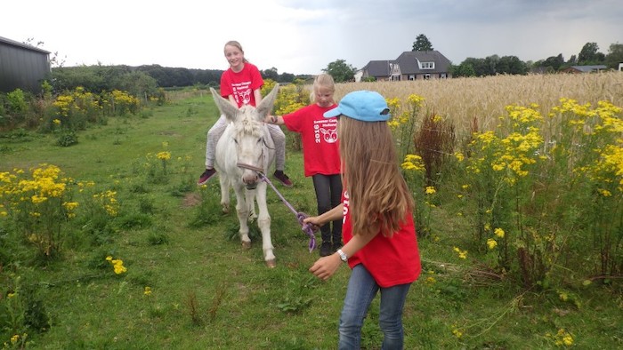 Boerderijkampen 2025 - Boerderijvakanties Voor Kinderen - Juvigo