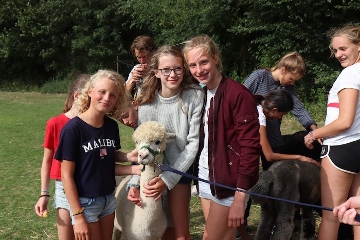 Meisjes poseren met een lama tijdens het zeilkamp