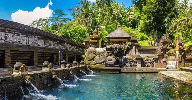 tempel en waterpaleis midden in de natuur op bali