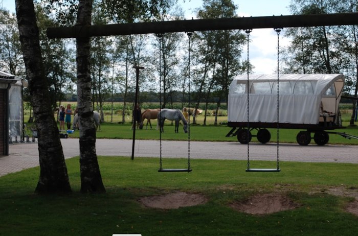 Schommels op ponykamp