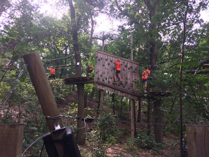 Jongeren klimmen in bomen op het multi sportkamp in Noord-Brabant tijdens de zomer.