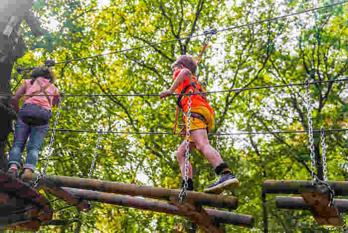 Jongeren op het hoogte parcours op het multi sportkamp in Noord-Brabant tijdens de zomer.