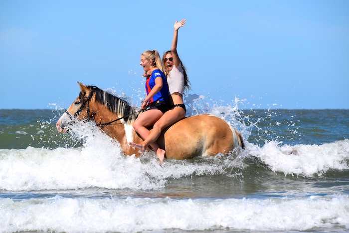 Meiden rijden tijdens een ponykamp België met een pony in de zee