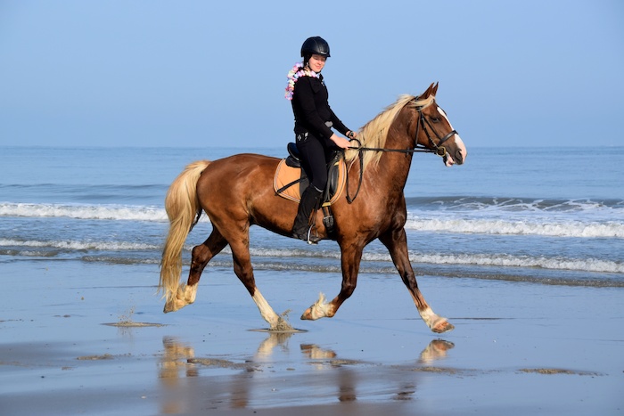 Meisje rijdt paard op het strand.