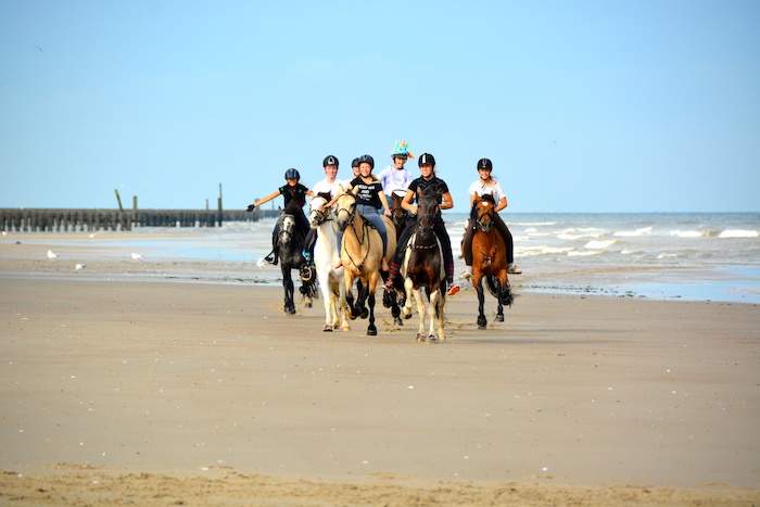 Groep ruiters galoppeert lachend over het strand op ponykamp