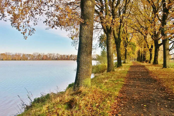 Blik op groene omgeving tijdens taalkamp.