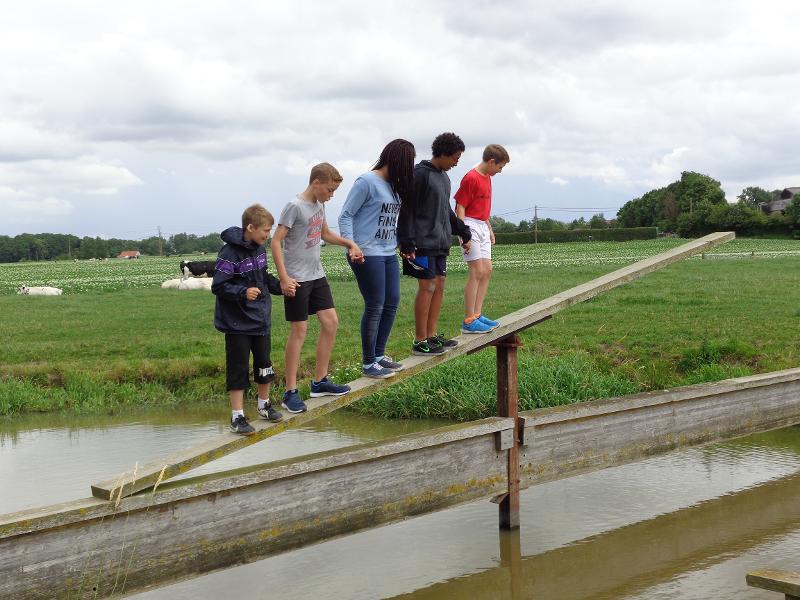 Kinderen balanceren op houten wip boven het water tijdens een pretpark kamp