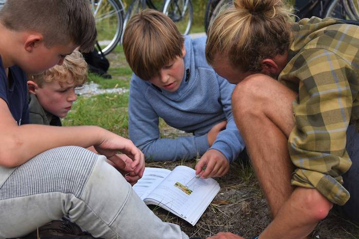Groepje kinderen bladert door een boek tijdens een dierenkamp