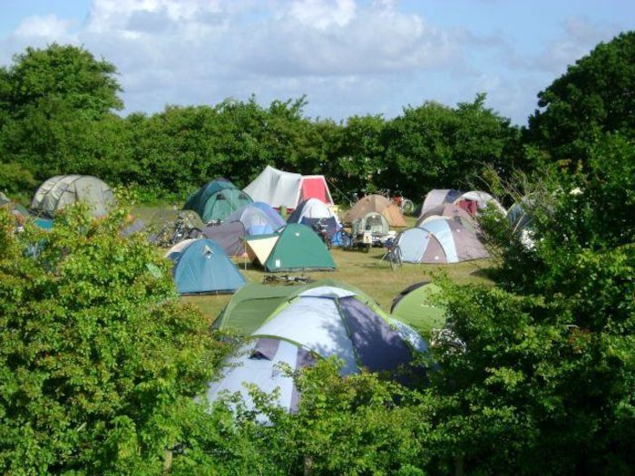 Jongeren slapen in tenten op natuurkamp in Friesland tijdens de zomer.