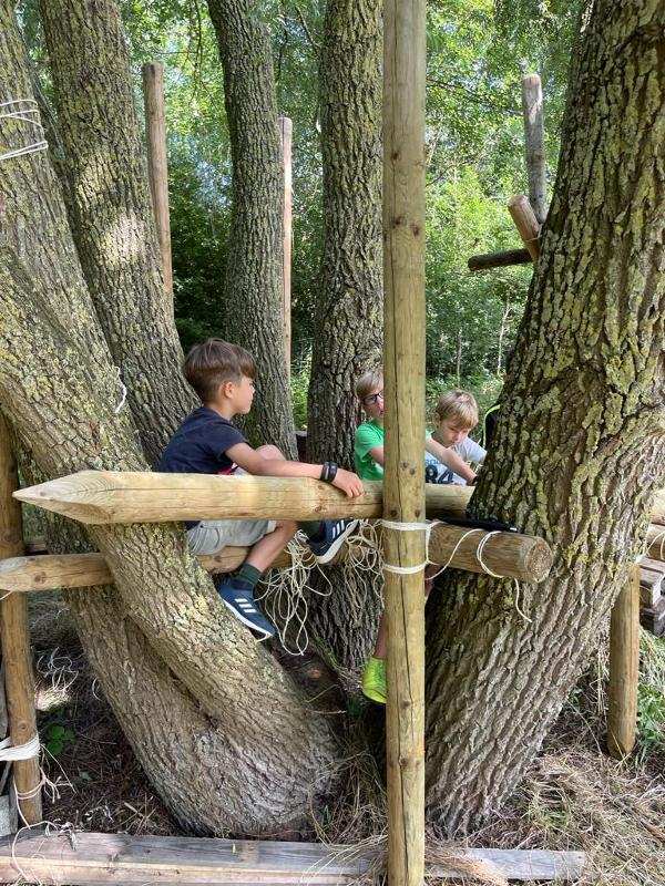 jongens bouwen hut op outdoorkamp schoten
