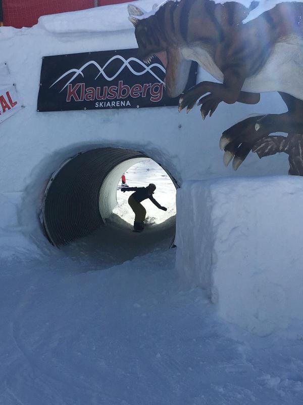 Persoon aan het snowboarden tijdens de Groepsreizen Februari