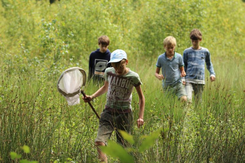 Kinderen gaan op pad in de natuur tijdens een natuurkamp