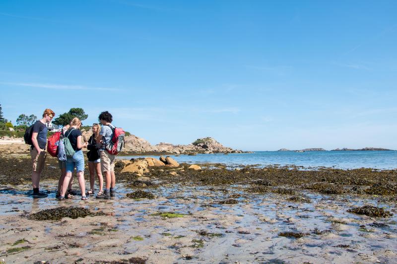 Groepje jongeren op het strand van Yorkshire 
