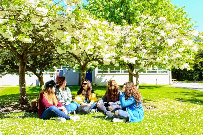 Jongeren zitten onder bloeiende bomen tijdens een taalreis engels