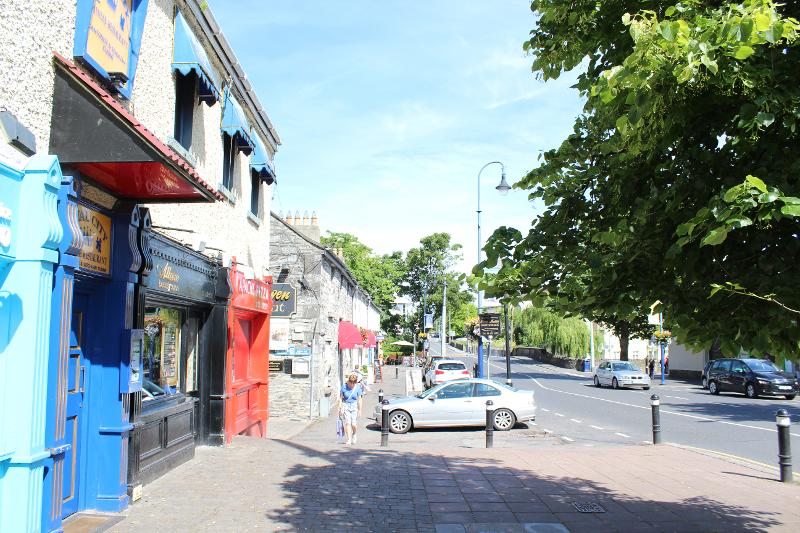 Een straat met winkels, bomen en auto's tijdens een taalreis engels