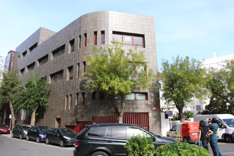 Een straat met bomen en auto's tijdens een taalreis spaans