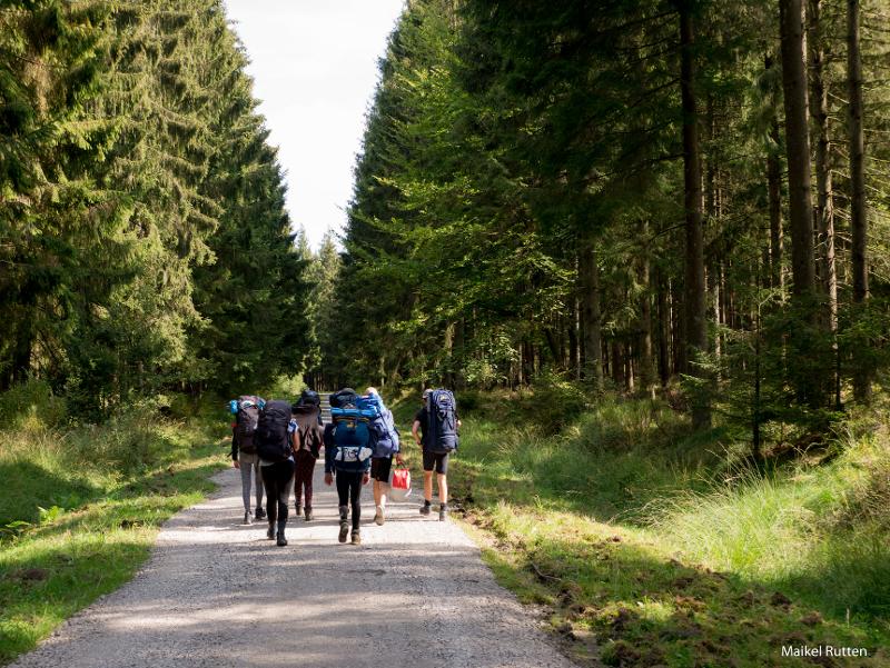 Een groep deelnemers aan een bushcraft kamp lopen op een pad door een bos in de Ardennen