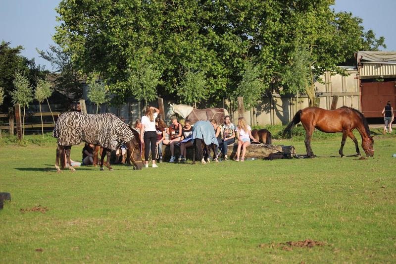 Meiden plezier in weiland tijdens ponykamp Overrijssel