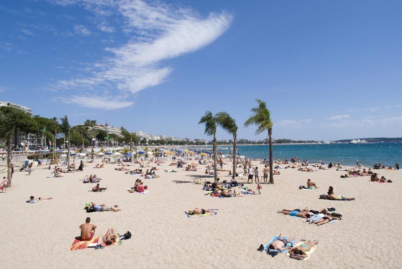 Een strand met mensen en palmbomen tijdens een taalreis frans