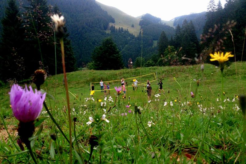 Volleybal spelen in de natuur tijdens natuurkamp