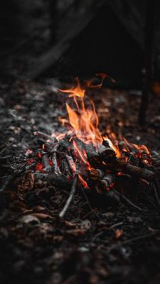 Bushcraft Zomerkamp Zeeland - Cadzand