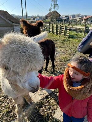 Dierenkliniek Zomerkamp België 7-12 jaar - Ronse
