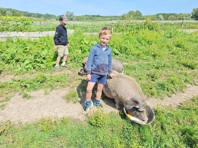 Mini Viervoeters Zomerkamp België 3-6 jaar - Ronse