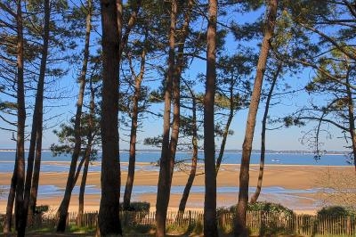 Franse Taalreis Arcachon - Atlantische kust / Golf van Biskaje