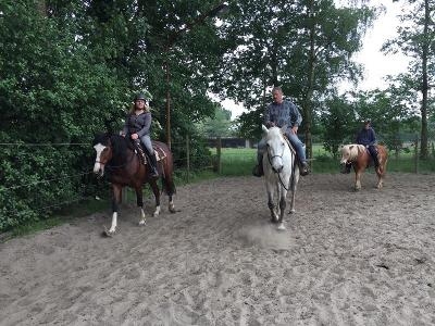 Volwassen Paardenkamp 2-daagse Antwerpen - Antwerpen