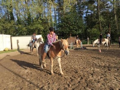 Volwassen Paardenkamp 3-daagse Westmalle - Antwerpen