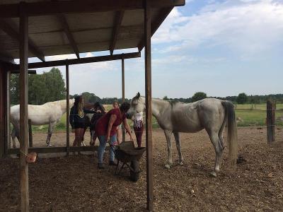 Jongeren Paardenkamp 5-daagse Westmalle - Antwerpen