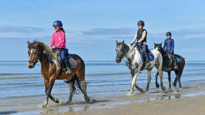 Ponykamp Zeeland - Koudekerke