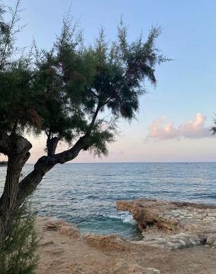 Jongerenvakanties Chersonissos 2025