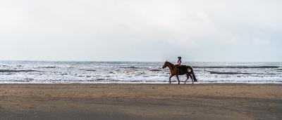 Ponykampen aan Zee 2025