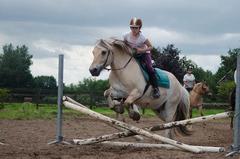 Ponykampen beginners 2026 Ponykampen beginners 2026