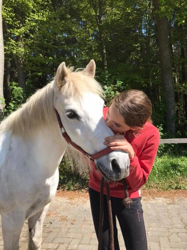Ponykampen goedkoop 2026 Ponykampen goedkoop 2026