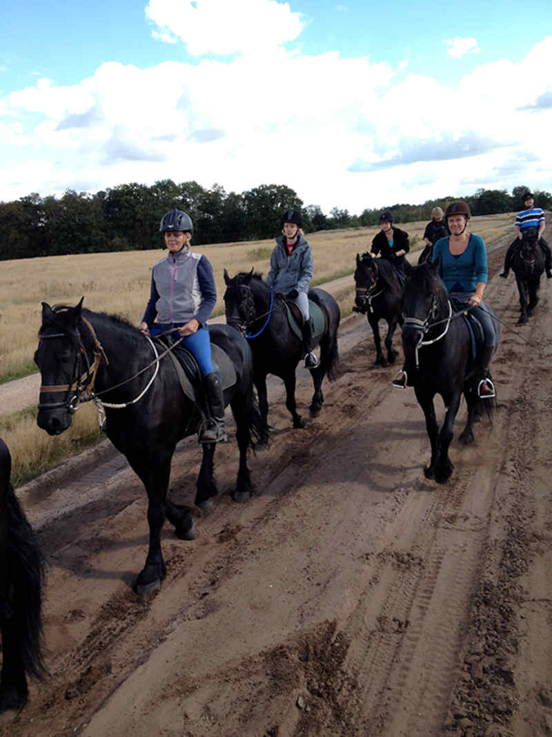 Ponykampen Nederland 2026 Ponykampen Nederland 2026