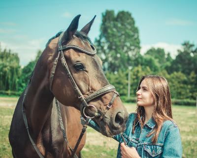 Ponykampen Overijssel 2025