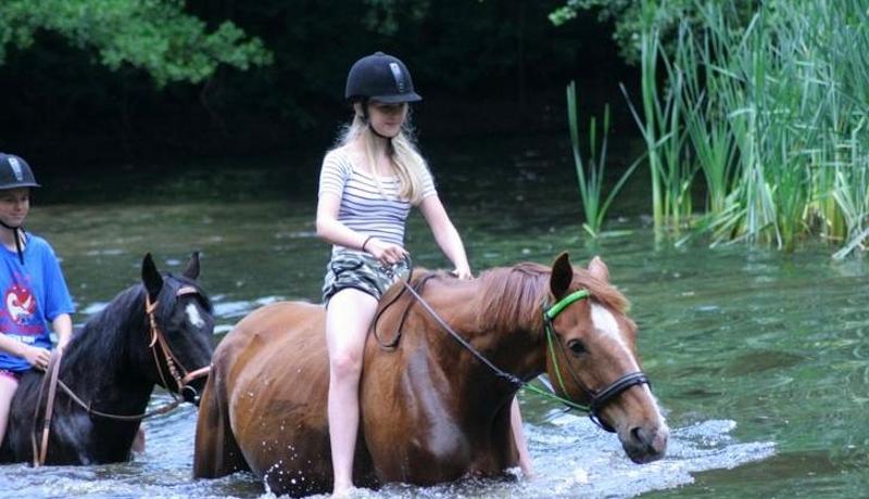 Ponykampen Zomervakantie 2026