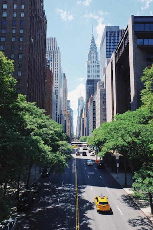 Taalcursussen New York 2026