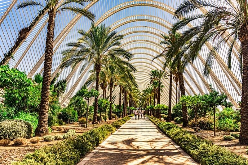 Taalcursussen Valencia 2026
