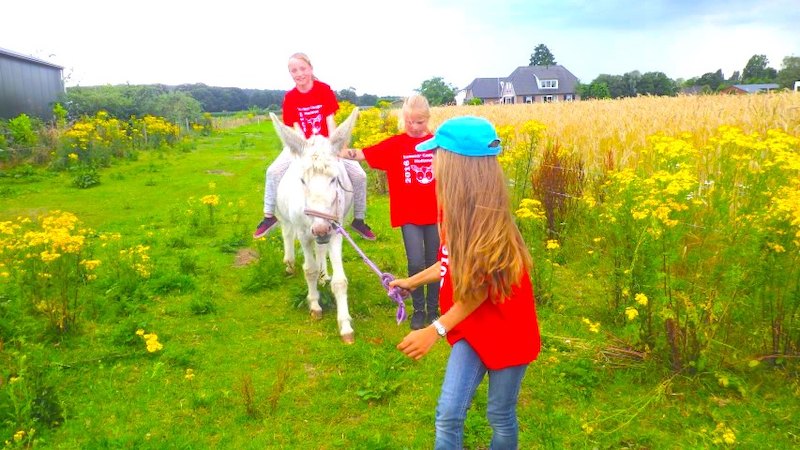 Zomerkampen Zeeland 2026