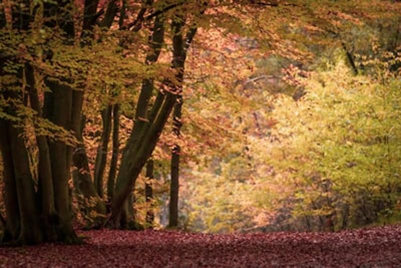 Herfstvakantie Noord