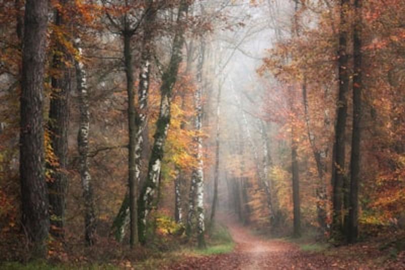 Herfstvakantie Zuid