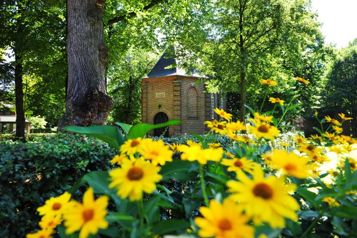 Blik op kerk in groene natuur. 
