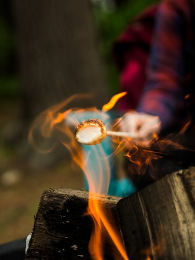 Kampvuur met marshmallow tijdens schoolvakantie in regio Zuid.