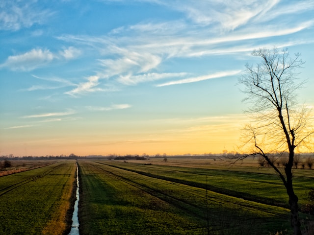 Polderlandschap, schoolvakantie